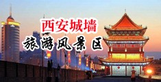 骚逼大吊性爱网中国陕西-西安城墙旅游风景区